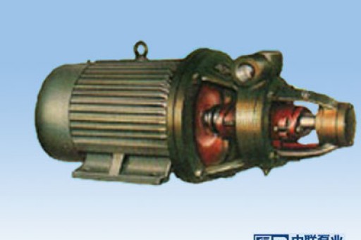 IW、W型单级旋涡泵-图片